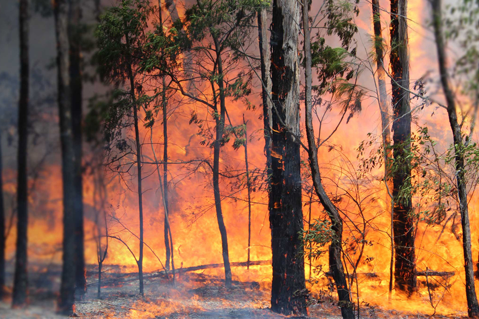 Été Risques incendies